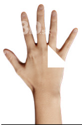 Alex Ksibah Retopo Hand Scan