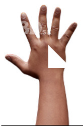 Kendun Mahlun Retopo Hand Scan