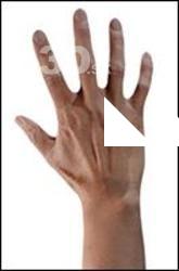 Kobashigawa Tsuneo Retopo Hand Scan