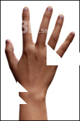 Maria Mccarthy Retopo Hand Scan