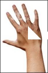 Reece Griffiths Retopo Hand Scan
