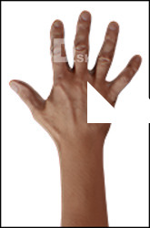 Reece Burke Retopo Hand Scan
