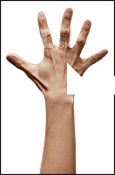 Sarah Itbehah Retopo Hand Scan