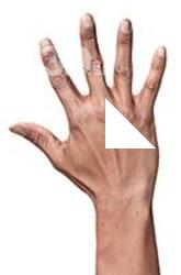 Malachi Sugihen Retopo Hand Scan
