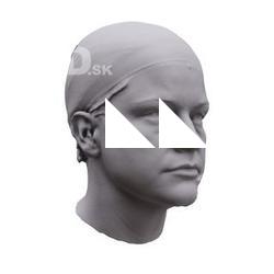 Diana Base Scan Head