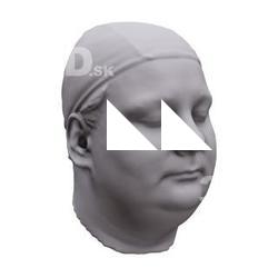 Heliodora Base Scan Head