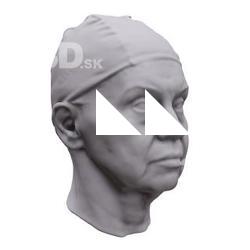 Daniela Base Scan Head