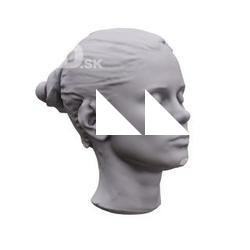 Little Caprice Base Scan Head