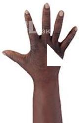Jafaris Simon Retopo Hand Scan
