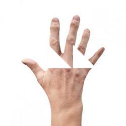 Riley Evans Retopo Hand Scan