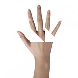 Halim Ting Retopo Hand Scan