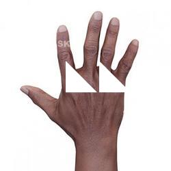 Dimetrice Moss Retopo Hand Scan