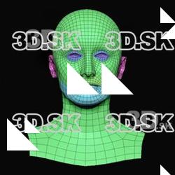 Liama Elliott Subdivs 3D Model