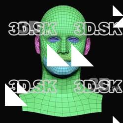 Jackson Henderson Subdivs 3D Model