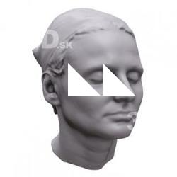 Alisha Base Scan Head