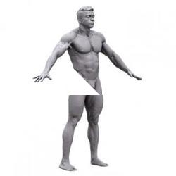 Roman Base Scan Body Nude