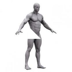 Michal Base Body Scan