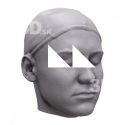 Chiko Base Scan Head