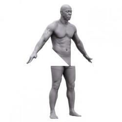 David Base Body Scan