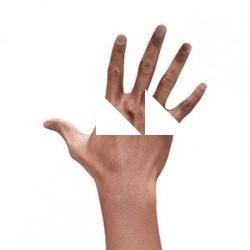 Denton Allen Retopo Hand Scan