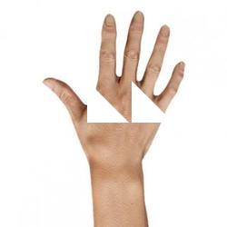Hitarashi Hachigoro Retopo Hand Scan