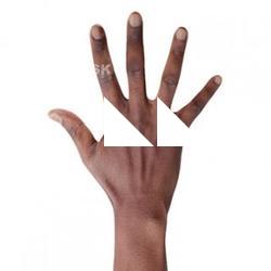 Dameon Chatman Retopo Hand Scan