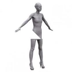 Nikola Base Body Scan