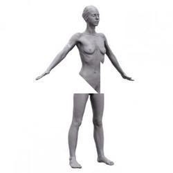 Nikola Base Body Scan