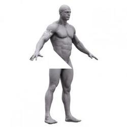 Alberto Base Body Scan