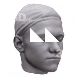 Vlastimil Base Scan Head