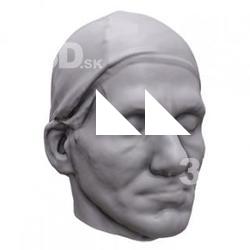 Steve Base Scan Head