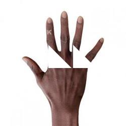 Eddison Bates Retopo Hand Scan