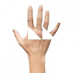 Rylen Cannon Retopo Hand Scan