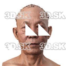 Shiba Masakazu Raw Head Scan