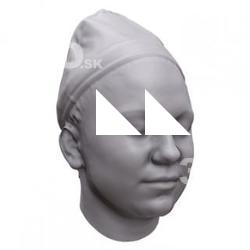 Dagmar Base Scan Head