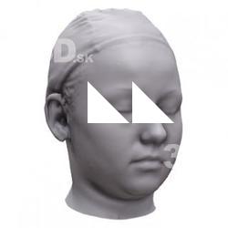 Nikol Base Head Scan