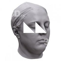 Base Scan Markett's Head
