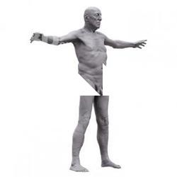 Stephan Base Body Scan