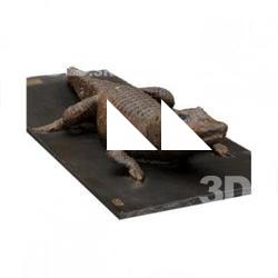 Crocodile Animal Base Scan
