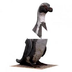 Base Scan Penguin