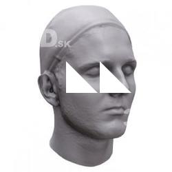 Bailey Base Head Scan