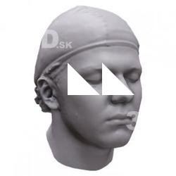 Stephen Base Head Scan