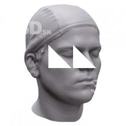 Aleria Base Head Scan