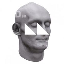Parker Base Head Scan