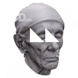 Tommy Base Head Scan