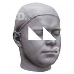 Alberto Base Head Scan