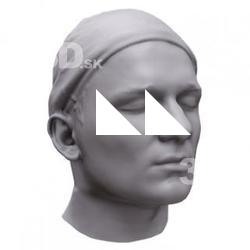 Ed Base Head Scan