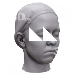 Alisa Base Head Scan