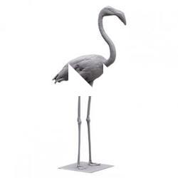 Flamingo Animal Base Scan
