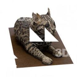 Feature Animal Base Scan